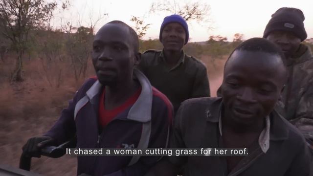 This Is Africa S5 Ep12: Village Elder смотреть онлайн