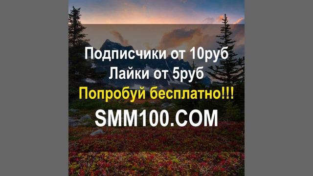 раскрутка подписчики накрутить продвижение vk ютуб telegram телеграм tiktok инстаграм смотреть онлайн