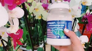 Пуршат Криопротектор. Защита от заморозков!