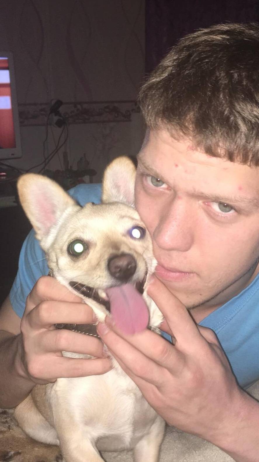 #Shorts# ОСТОРОЖНО! ОЧЕНЬ ЗЛАЯ ОВЧАРКА)))#Shorts# смотреть онлайн