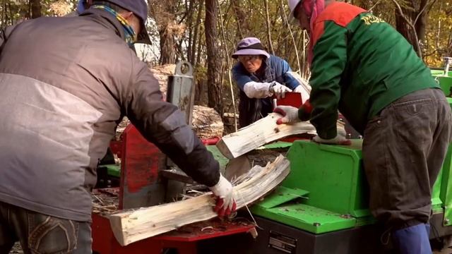 Опыт производства дробилок древесины | Преимущества измельчителей Green Mech | ТОП 5 главных плюсов смотреть онлайн