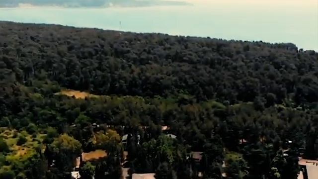 Гастрономический Мир