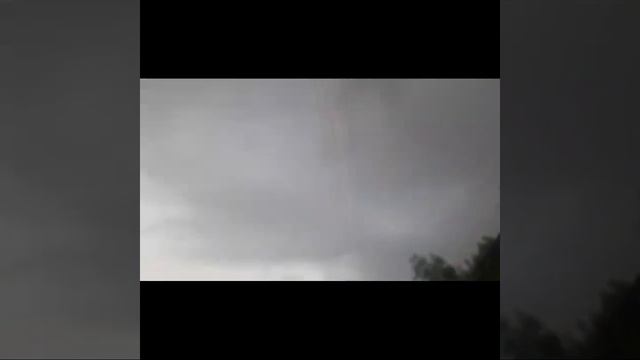 💝Белой птицей💞 смотреть онлайн