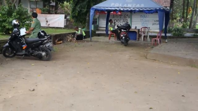 Священное дерево на Бали смотреть онлайн