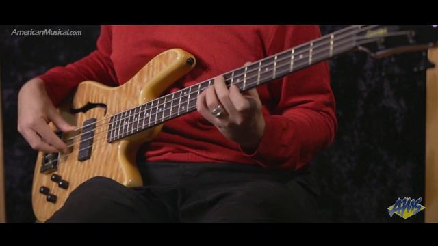 Spector Core 4 Performance - Spector Core 4 Bass смотреть онлайн