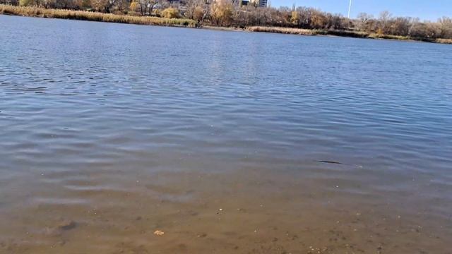 Кораблик для рыбалки, прикормочный кораблик S70-20 смотреть онлайн