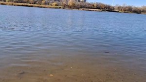 Кораблик для рыбалки, прикормочный кораблик S70-20