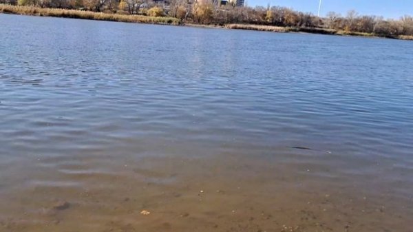 Кораблик для рыбалки, прикормочный кораблик S70-20