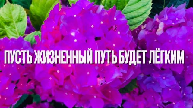 С Днём Молодежи 27 Июня День Молодежи Красивое Поздравление С Днём Молодёжи смотреть онлайн