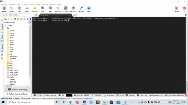 Bioinformatics 12: Writing a bash script смотреть онлайн