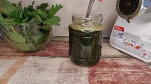 Крапива для волос: как правильно готовить отвар и ополаскивать волосы - рецепт от  Бьюти Ап