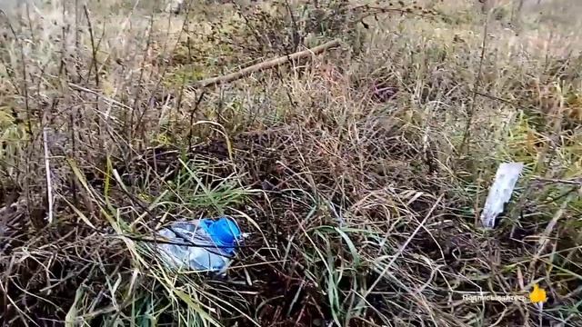 Удачный МеталоКоп, под конец Сезона. смотреть онлайн