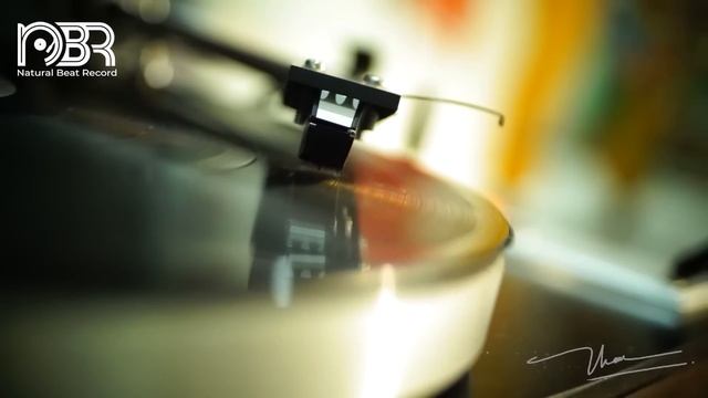 Greatest Audiophile Collection - Hi-Res Music 32 Bit - Audiophile NBR Music