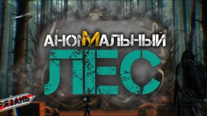 САМОЕ УДИВИТЕЛЬНОЕ ЯВЛЕНИЕ РЯЗАНСКОЙ ОБЛАСТИ. ПЬЯНЫЙ ЛЕС