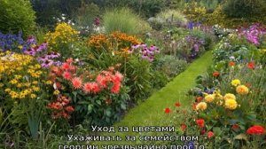 Георгины Веселые Ребята — описание, посадка и уход