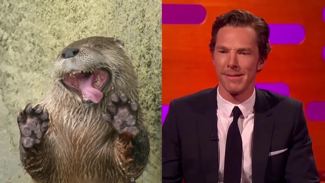 Джонни Депп и Бенедикт Камбербэтч. Фото с выдрами смотреть онлайн