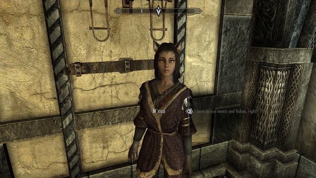 Skyrim Quest/follower mod M'rissi's Tails of Troubles - bringing M'rissi home смотреть онлайн