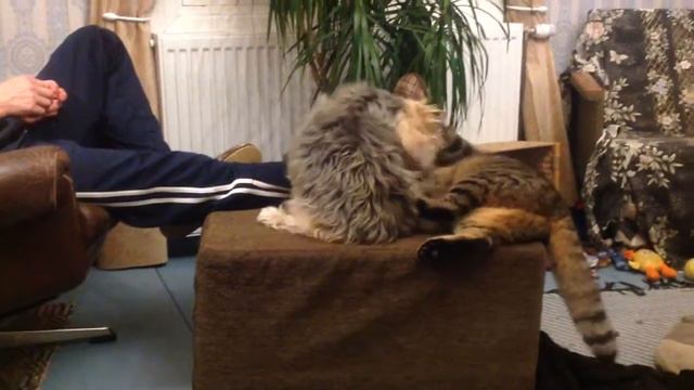 Kalle and Sofi смотреть онлайн