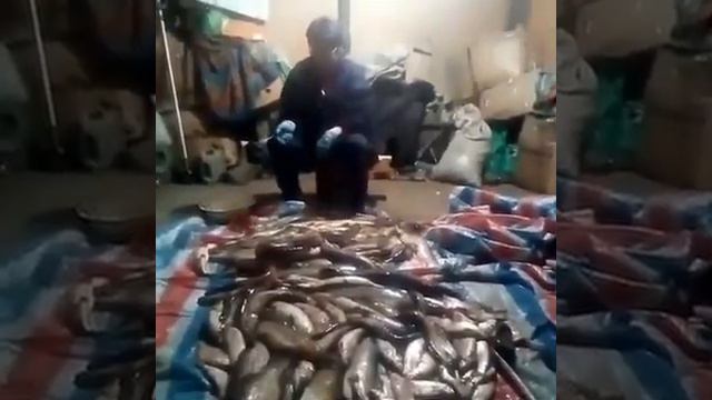 Жена счастлива от мужа рыбака! смотреть онлайн