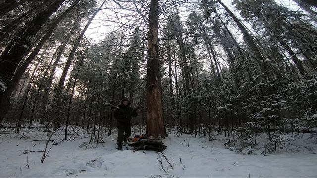 ВЫЖИВАНИЕ В ЛЕСУ ЗИМОЙ - ТОПОР против БЕНЗОПИЛЫ | ДОБЫТЬ ОГОНЬ, ДРОВА, УКРЫТИЕ В - 20 | ЖИЗНЬ В ЛЕС смотреть онлайн