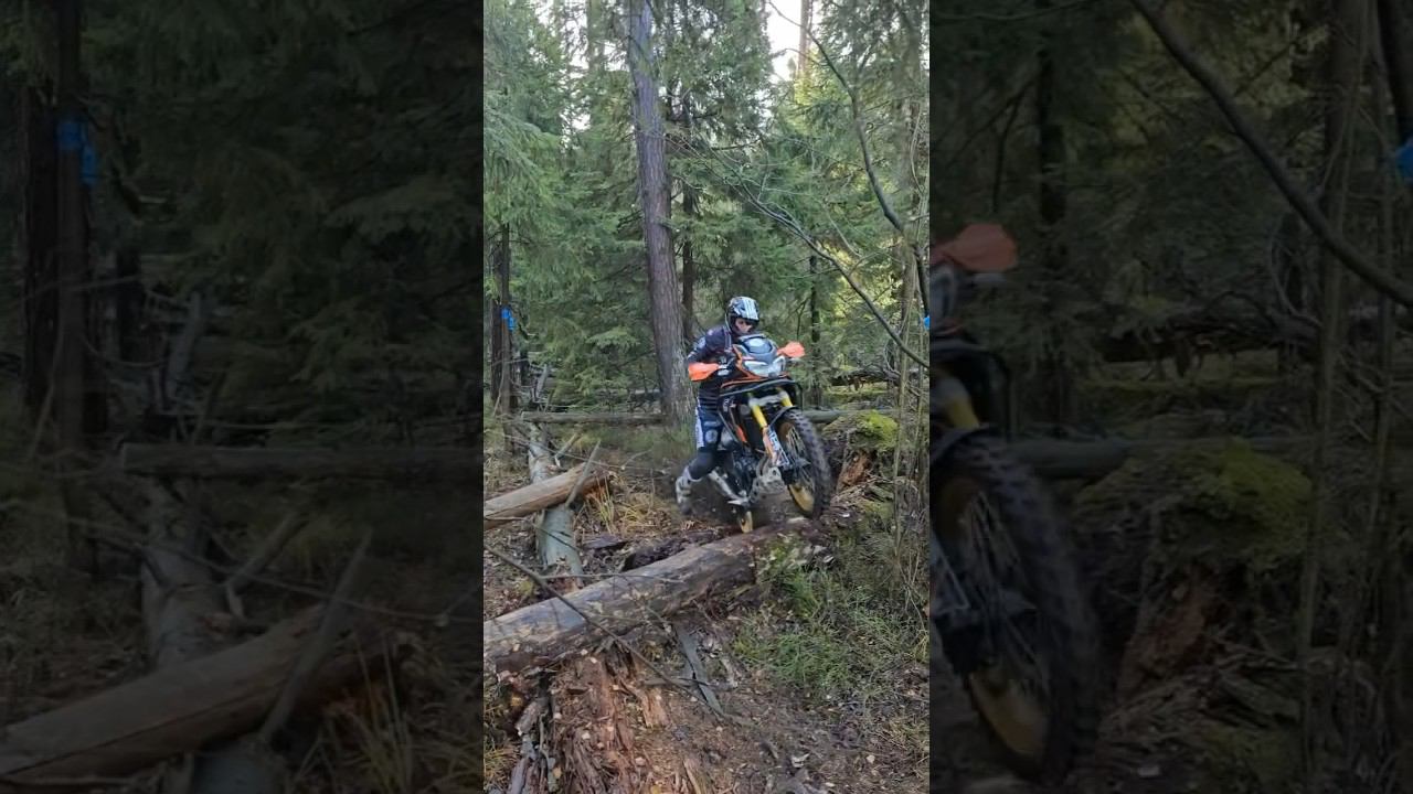 1 ноября 2023 г. смотреть онлайн