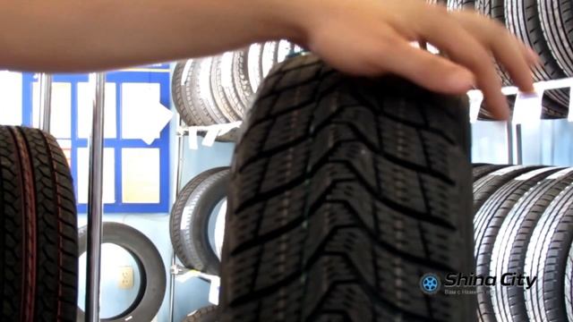 Зимняя Фрикционная шина Premiorri Viamaggiore