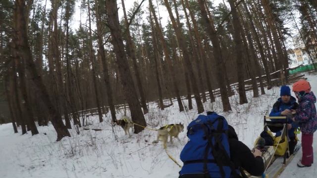 Обгоны, социальная адаптация и правила поведения на трассе. смотреть онлайн