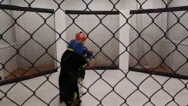 спаринг по мма смотреть онлайн