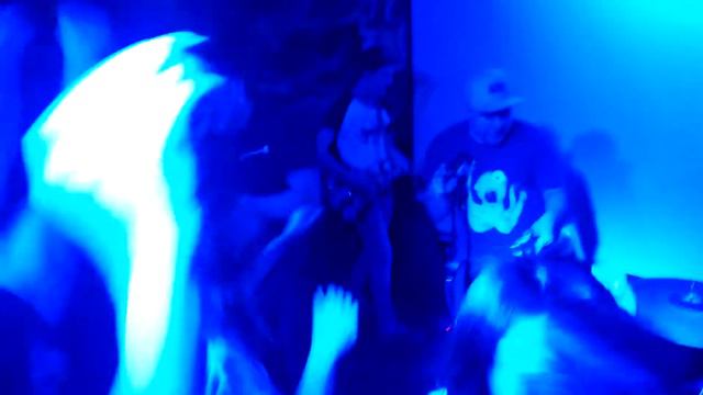 Plush Fish Харатс паб Сочи 6.02.2016 смотреть онлайн