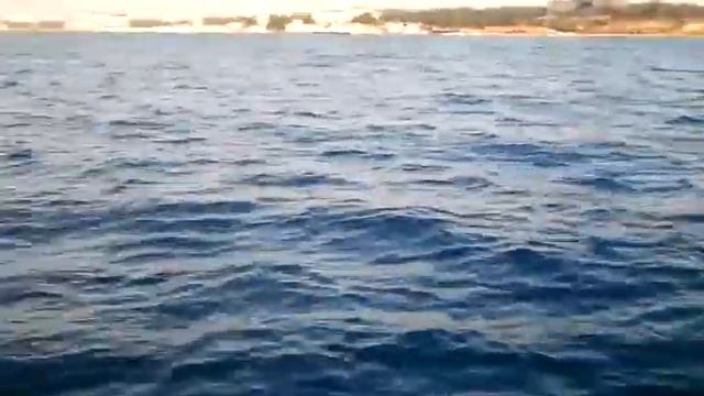 Рыбалка с катера в Анапе с коментариями смотреть онлайн