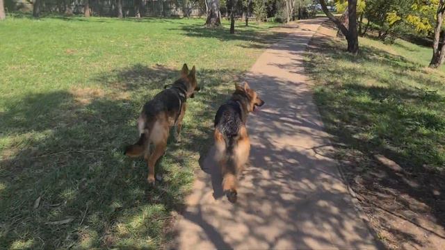 Bonnie & Adele walkies смотреть онлайн