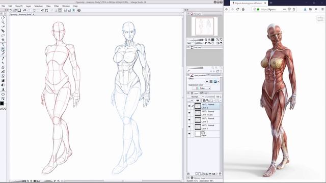 Anatomy Drawing With Figurosity | Mannequin Model Construction & Muscle Placement смотреть онлайн