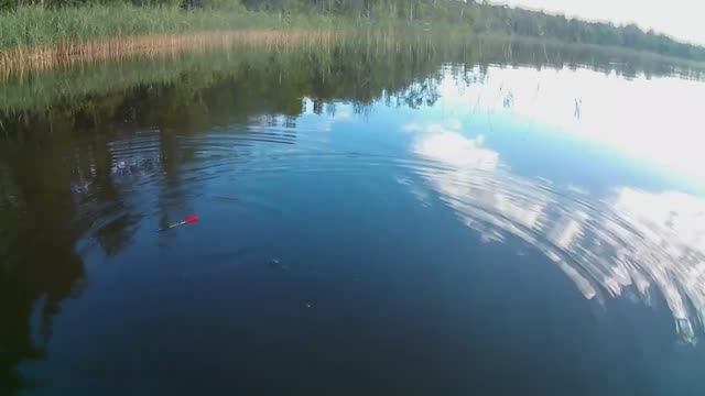 Матч поплавок-поклевки крупным планом