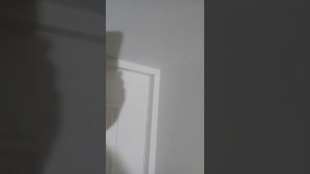 Установка распашных межкомнатных дверей, эмаль, широкие доборы. смотреть онлайн