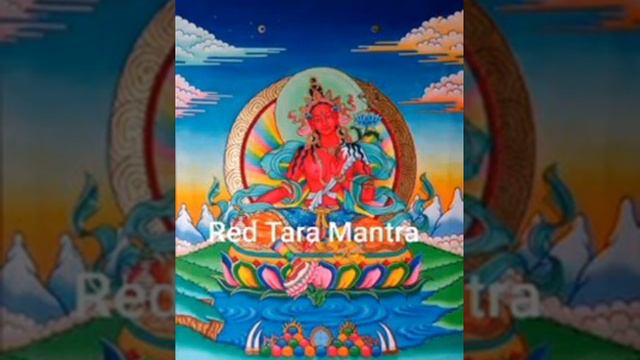 Red Tara Mantra Om Kurukulle Hrih Soha#redtaramantra#taramantra#buddhistmantra смотреть онлайн