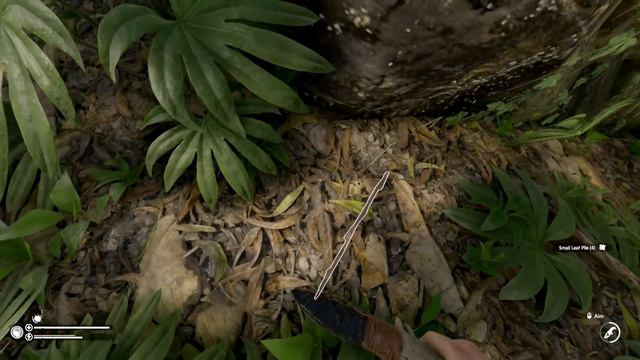 Exterminated and Trapped | Green Hell Gameplay | Spirits of Amazonia Part 13 смотреть онлайн