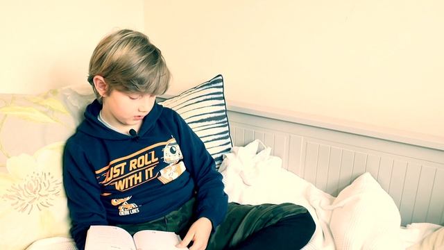 Diary of a #Minecraft zombie by #Zack Zombie Book1 week2 смотреть онлайн