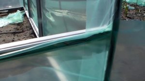 Теплица своими руками. Накрытие пленкой