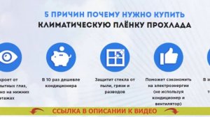 Как затемнить окна от солнца для цветов ?