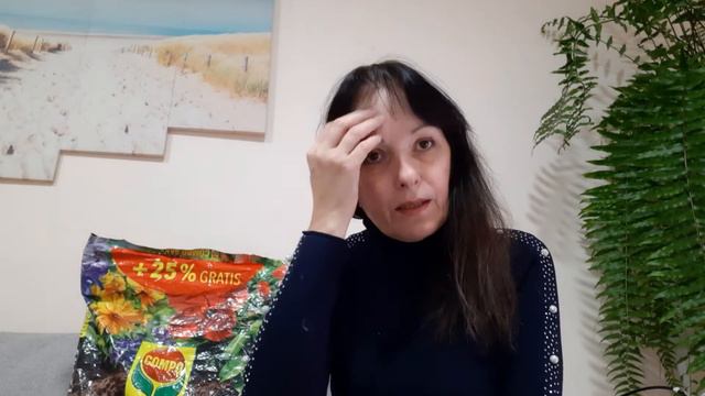 Какой грунт я использую для моих пеларгоний смотреть онлайн