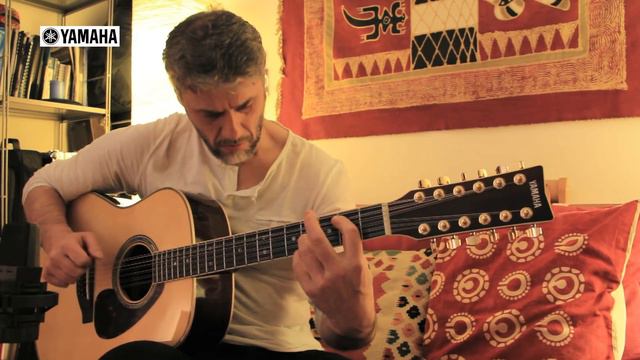 Davide Sgorlon - Sometimes I feel like Screaming - 12 String Guitar смотреть онлайн