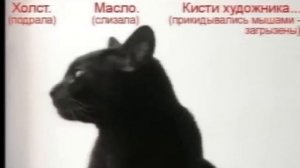 Жил да был чёрный кот за углом