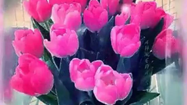 Поздравляем с 8 Марта всех женщин. Люблю вас. смотреть онлайн