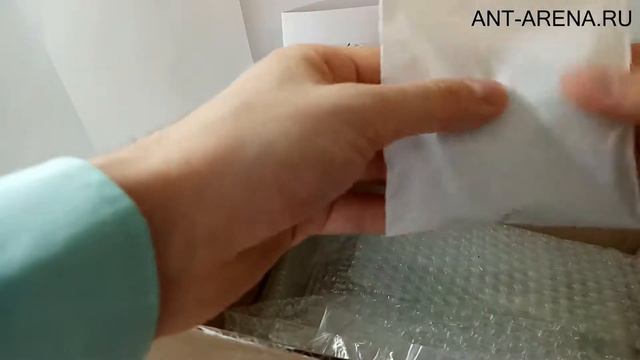 Муравьиные фермы Ant-arena.ru как мы собираем Ваш заказ смотреть онлайн