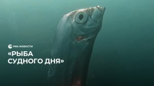 "Рыба Судного дня"