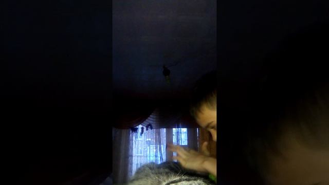 Играю с котом Васей круто он меня напугал смотреть онлайн