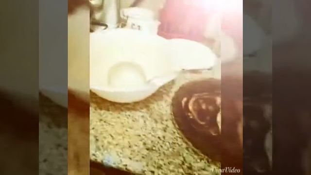 Как мы гатовили алади_20141106_110349.mp4 смотреть онлайн