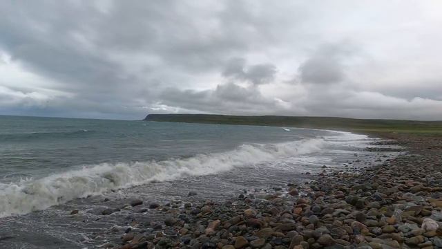 Пляжи Северного ледовитого, часть первая. смотреть онлайн