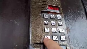 Домофон звонит в 2011 квартиру