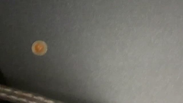 KZ ZEX PRO Crin Version: Defective and How I Fixed It: Ear Wax?! смотреть онлайн